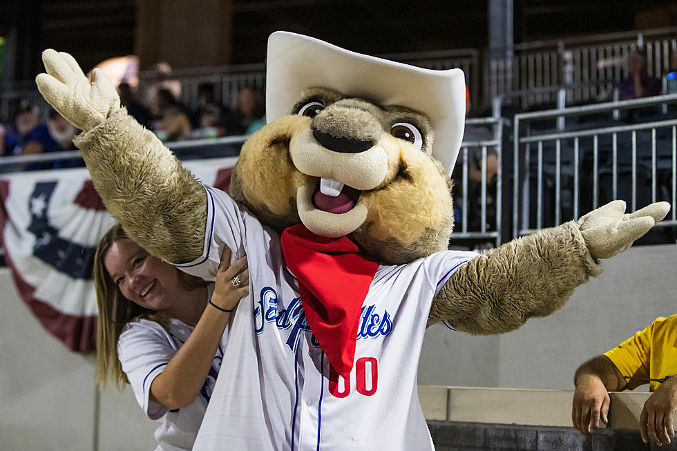 Our Amarillo Sod Poodles Made Another Top 5 List. What For Now?