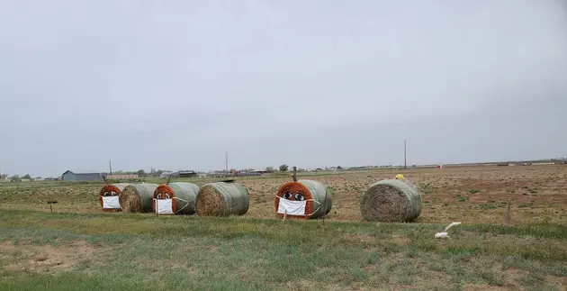 Have You Seen The Quarantined Pumpkins Of Amarillo?