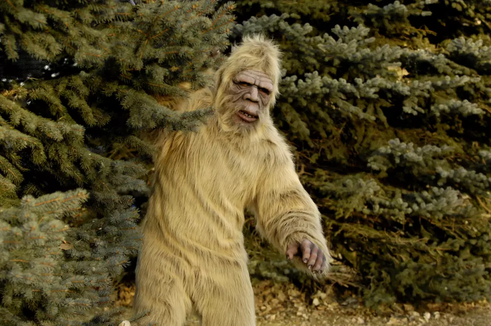 Bigfoot In The Amarillo & Panhandle Area? Oh Yeah, It’s Real…We Think