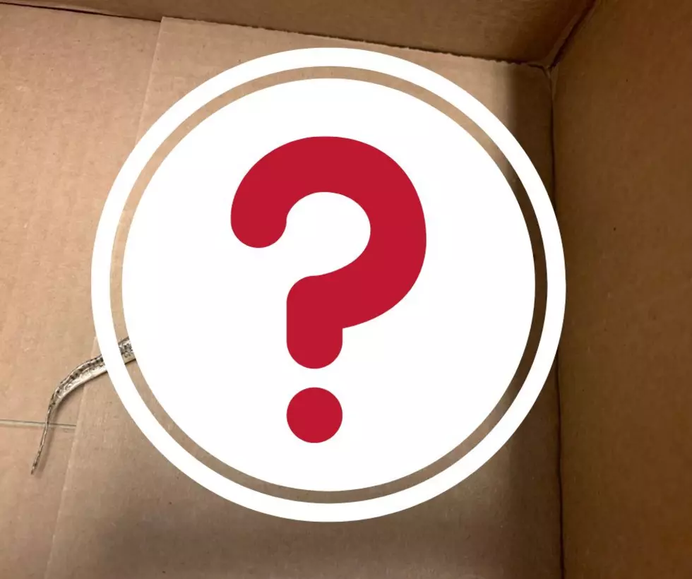 An Amarillo Mystery – There is What in a Box Under My Desk?