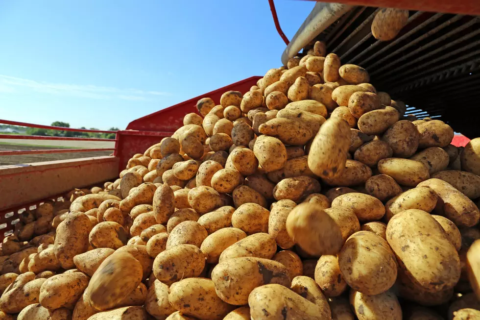 Everyone Gets Potatoes - Free Potato Giveaway in Amarillo