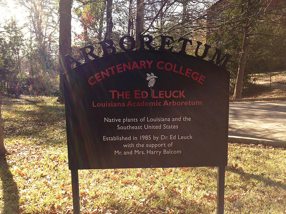 Centenary College’s Ed Leuck Louisiana Arboretum Achieves National Accreditation, Recognition