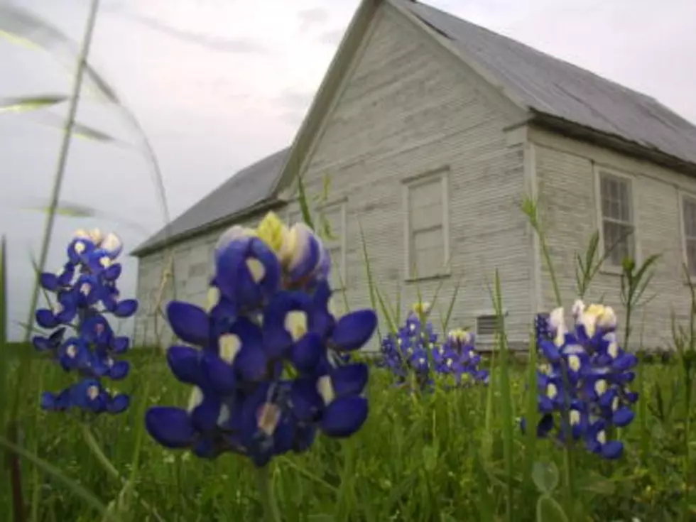 There’s Really A Website Called ‘P**ping On Bluebonnets’