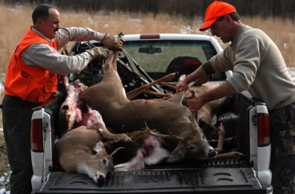 Louisiana Hunters Face Growing Deer Shortage; Consider Shortening Season