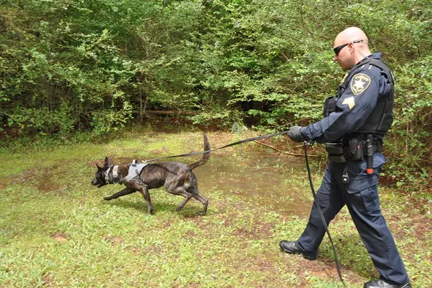 The Power of the Bossier Sheriff&#8217;s Office K-9 Unit