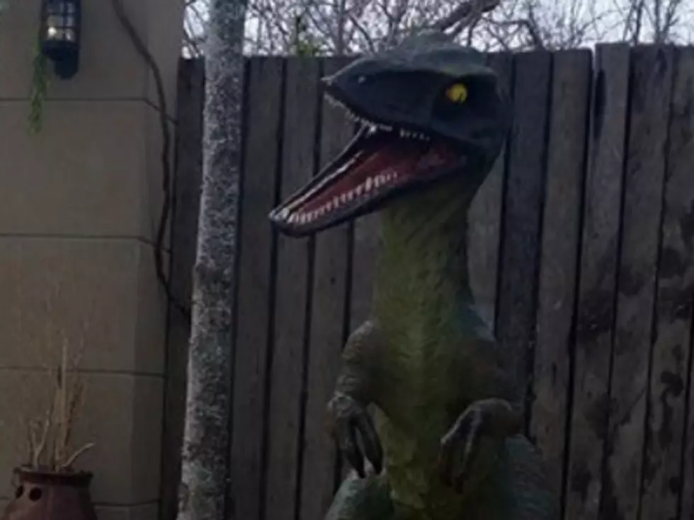Louisiana&#8217;s Very Own Version of Jurassic Park [VIDEO]