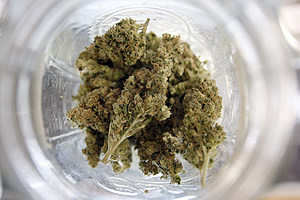 Bills Legalizing, Taxing Marijuana Filed