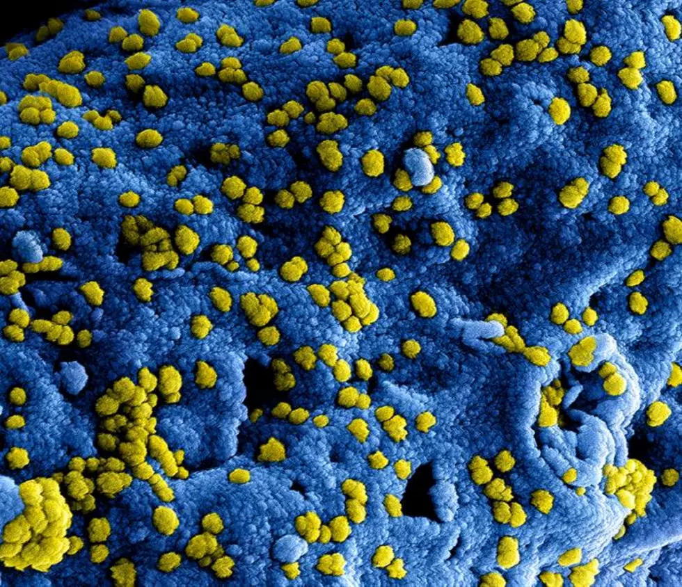 Louisiana Has 37 Cases of Coronavirus – 9th Highest in Nation