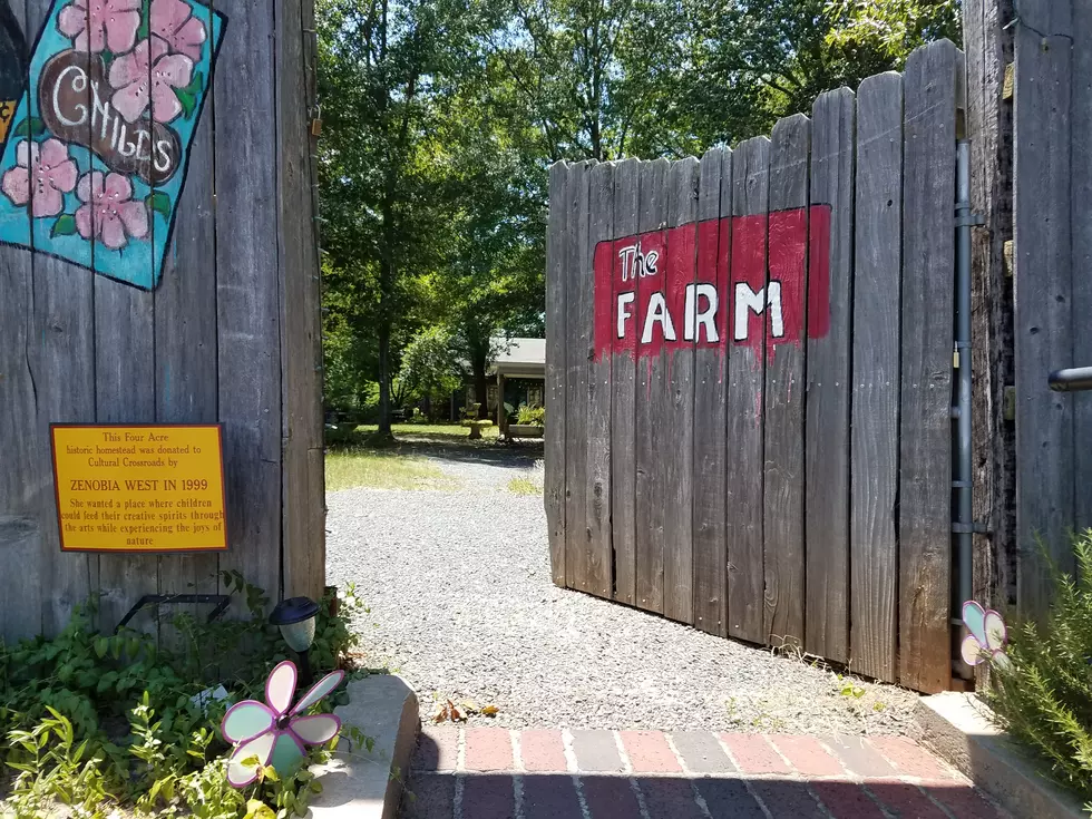 The Farm In Minden Brings Art To Life