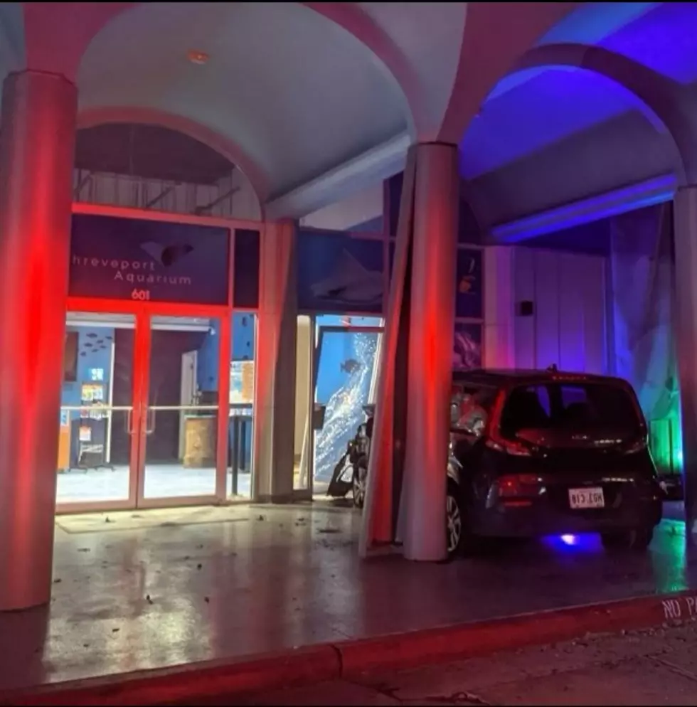 Car Crashes into Downtown’s Shreveport Aquarium