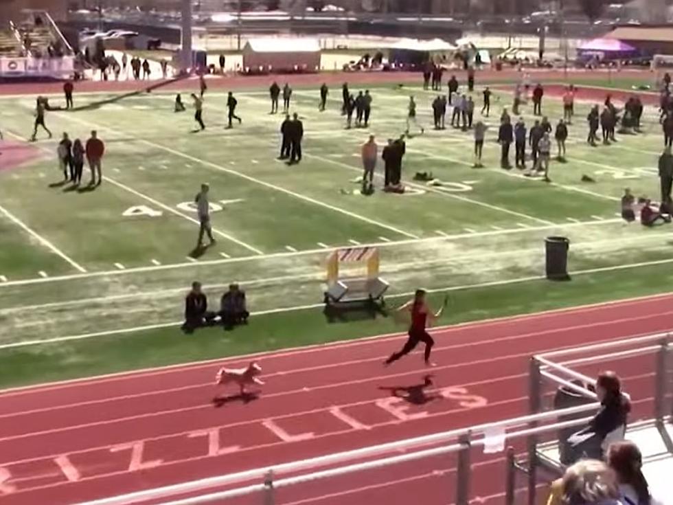 Tiny Dog Breaks Free from Owner, Easily Wins High School Race