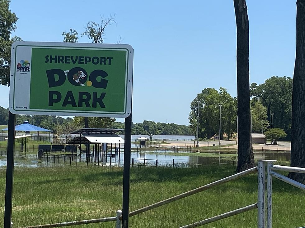Shreveport Councilwoman Says Dog Park Should Be Closed