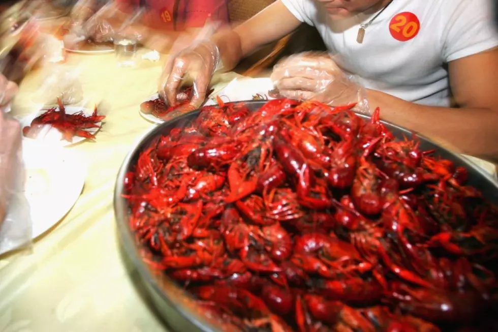 Louisiana Myths: What Happens if You Eat Straight-Tail Crawfish?