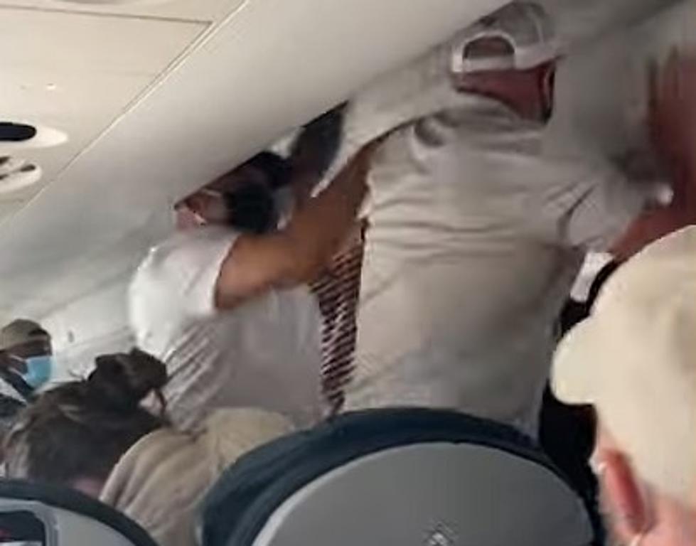 Watch as Fight Breaks Out on a Flight from New Orleans to Austin