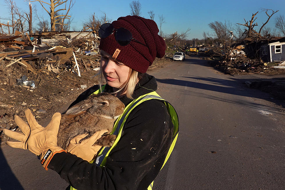 Shreveport Volunteers Need Your Help For Storm Ravaged Communities