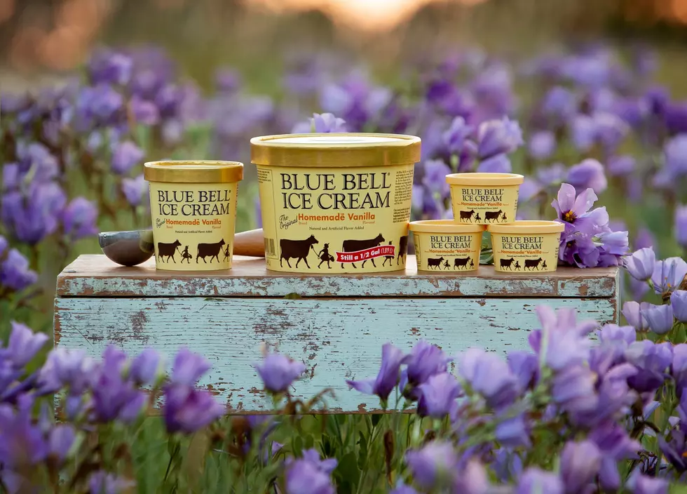 Texas Made Blue Bell Ice Cream “One of the Worst Ice Creams??”