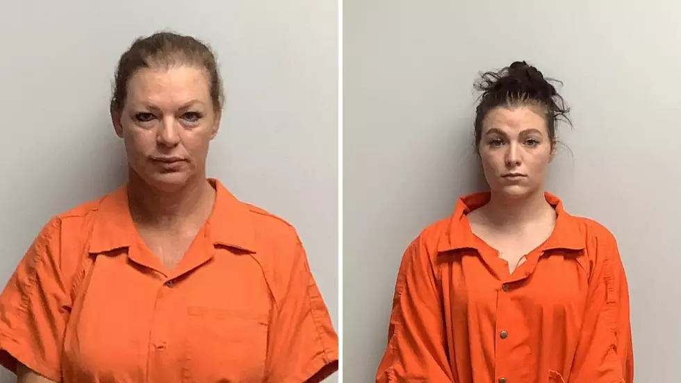 Louisiana Dog Trainers Arrested on Animal Cruelty Charges