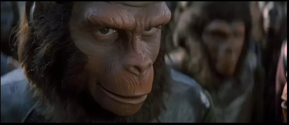 Did You Know the Planet of the Apes Franchise has a Shreveport Connection?
