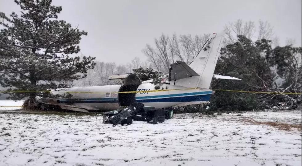 Plane Carrying Rescue Dogs from Louisiana Crashes