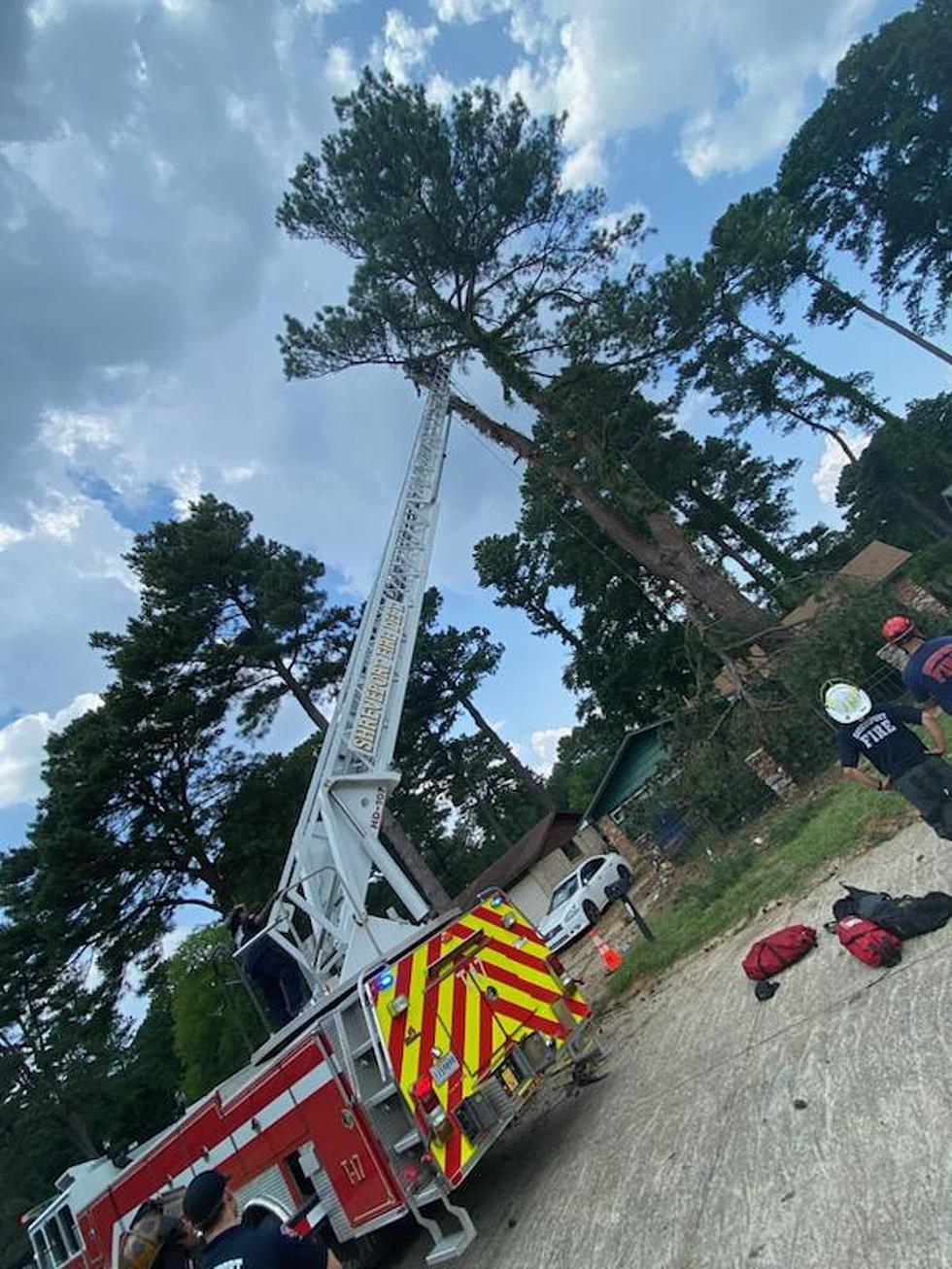 Shreveport Fire Fighters Rescue Man Stuck in a Tree