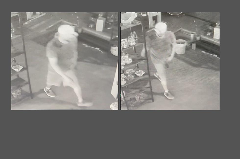Police Need Your Help in Their Search for Burglary Suspect