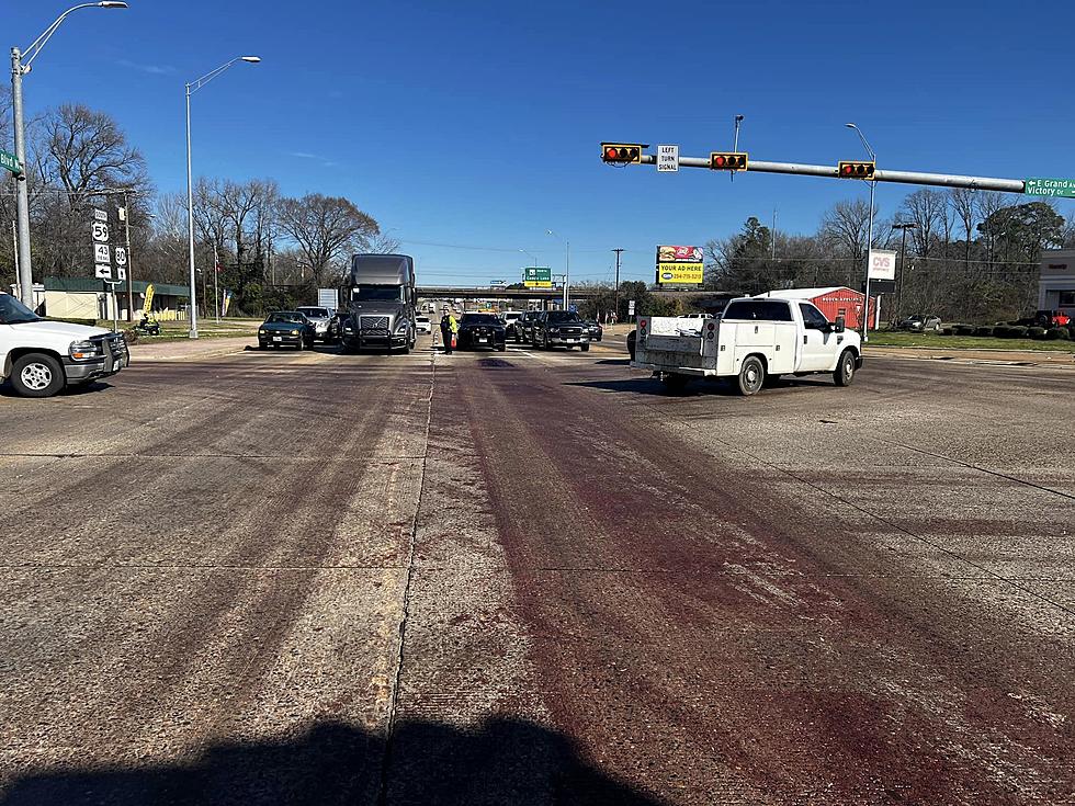 Chicken Guts Spilled All Over Busy Texas Highway
