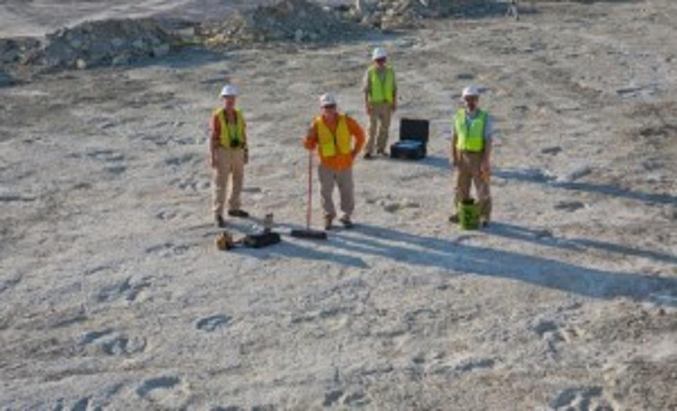 Dinosaur Tracks Found In Southwest Arkansas