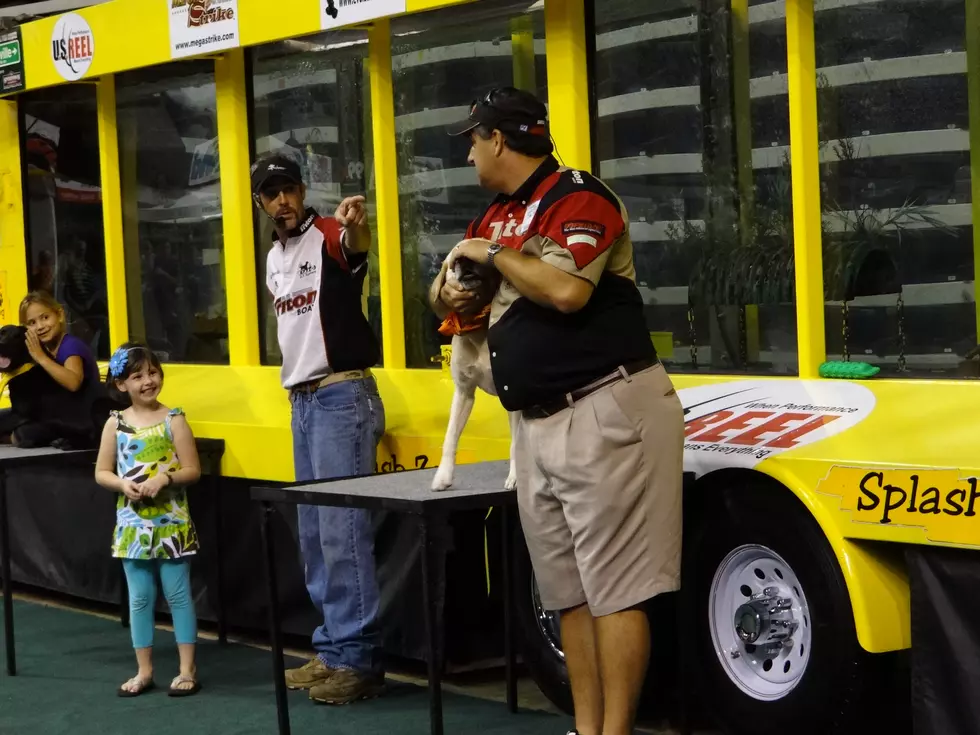 Fetch And Fish Is A Big ‘Splash’ With The Kids At Sportsman’s Expo [VIDEO]