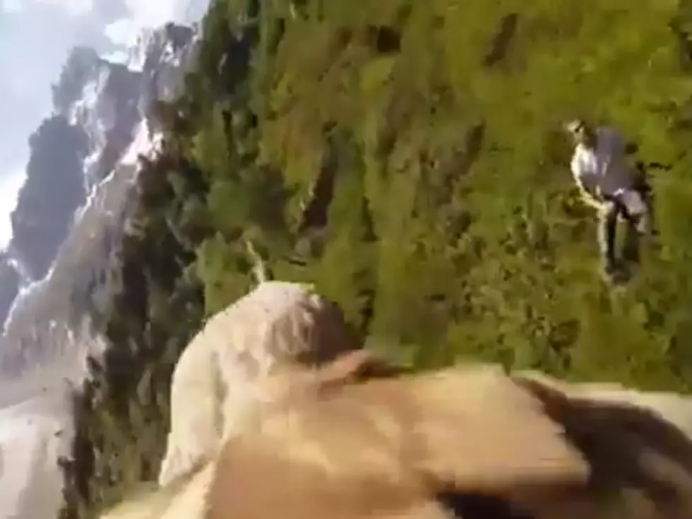 Did Someone Really Put A Camera On An Eagle&#8217;s Back? See This Amazing Video!