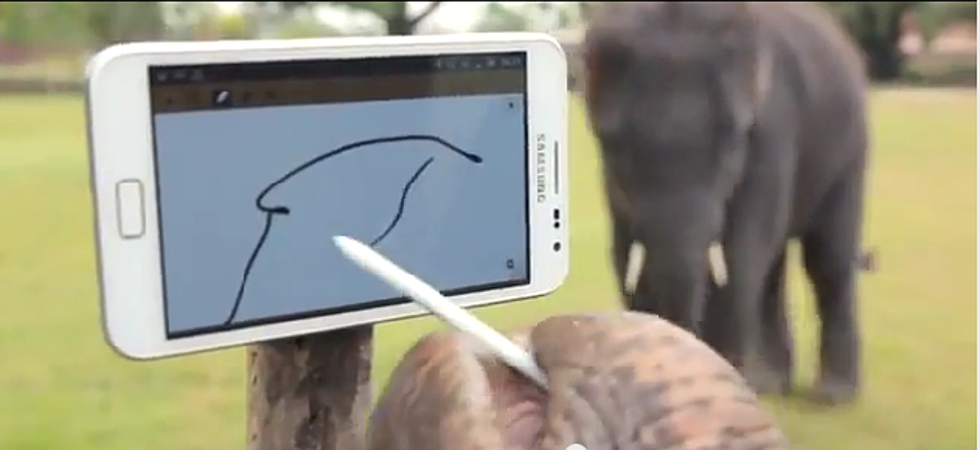 Peter The Elephant Plays With A Smartphone [Video]