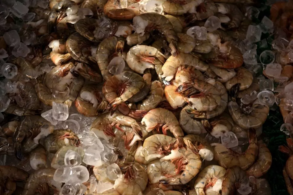 Boiling Shrimp – Louisiana Style! [VIDEO]