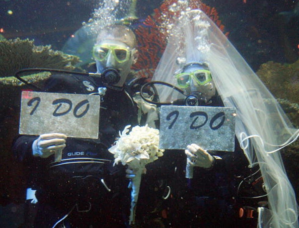 Couple Gets Married Among The Sea Life At The Aquarium Of The Americas In NOLA [VIDEO]
