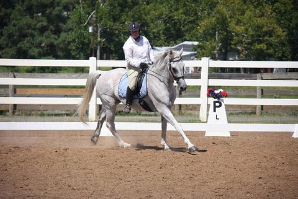 Don’t Let Your Daughter’s Grow Up to Ride Dressage [VIDEO]