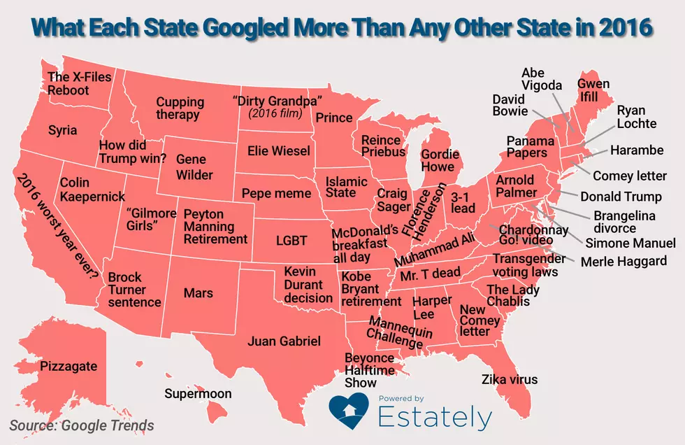 What Did Louisiana Google More Than Any Other State In 2016?