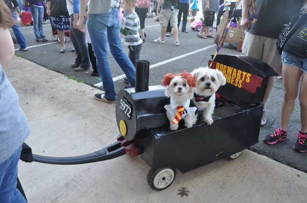 Celebrate the Dog Days of Summer with the Krewe of Barkus & Meoux