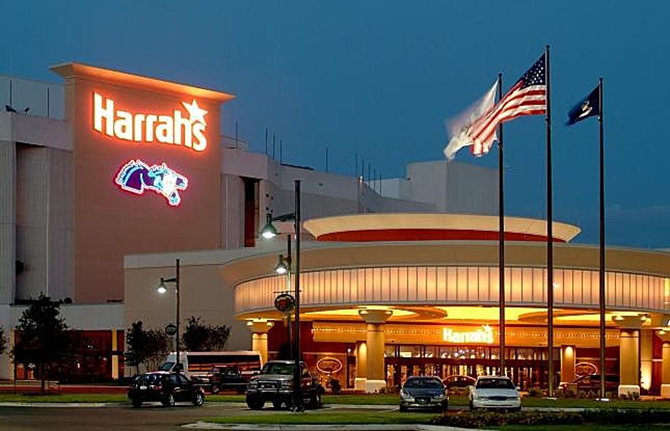 Harrah’s Louisiana Downs Offering Stall Space & Training
