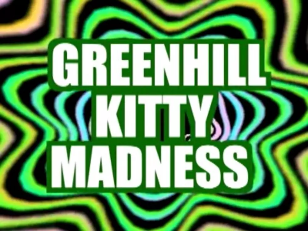 &#8216;Greenhill Kitty Madness&#8217; Made Me LOL [Video]
