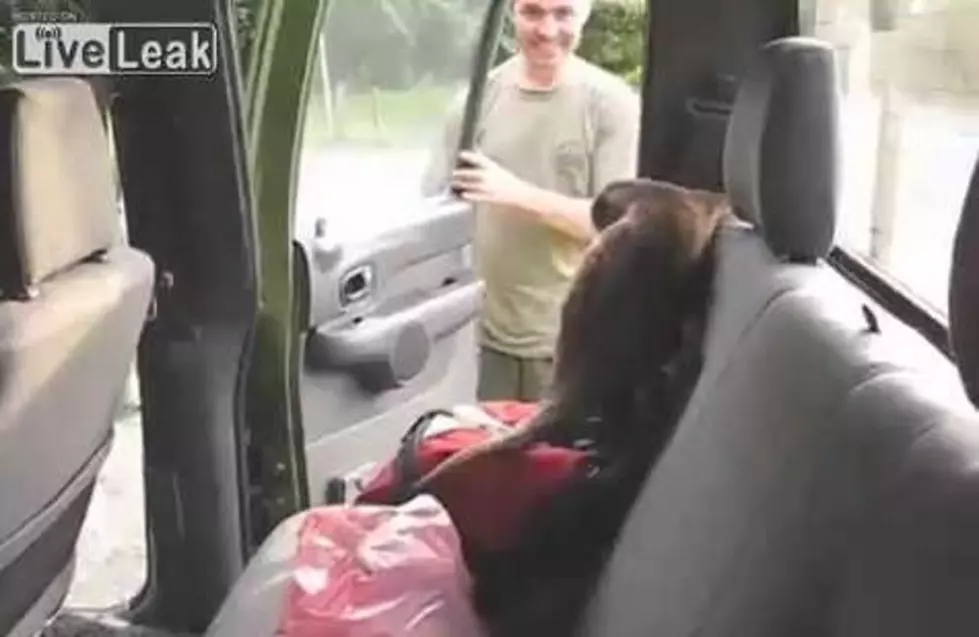 What Do You Do When An Otter Wants To Hitchhike?