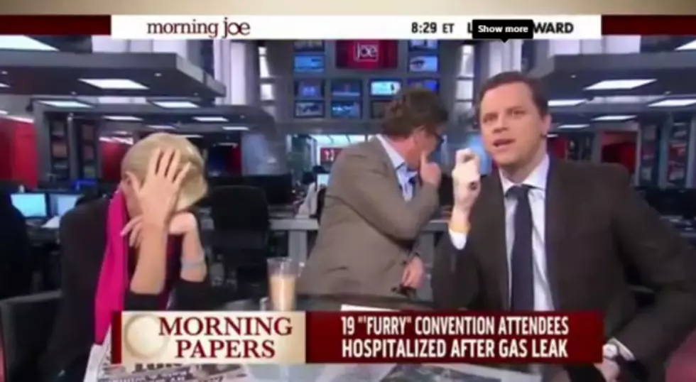 &#8216;Morning Joe&#8217; Co-Host Flips Out After Learning About &#8216;Furries&#8217; (VIDEO)