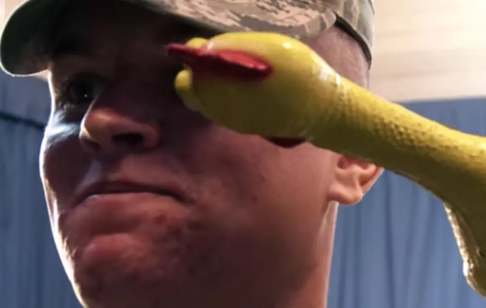 Don't You Dare Laugh! USAF Honor Guard Test ... the Rubber Chicken
