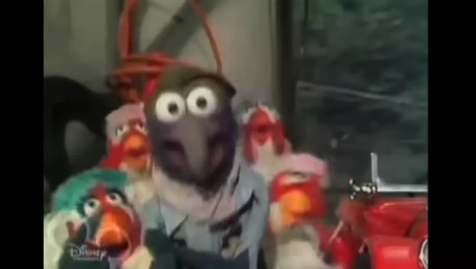 Gonzo And The Muppets Do &#8216;The Humpty Dance&#8217; (VIDEO)