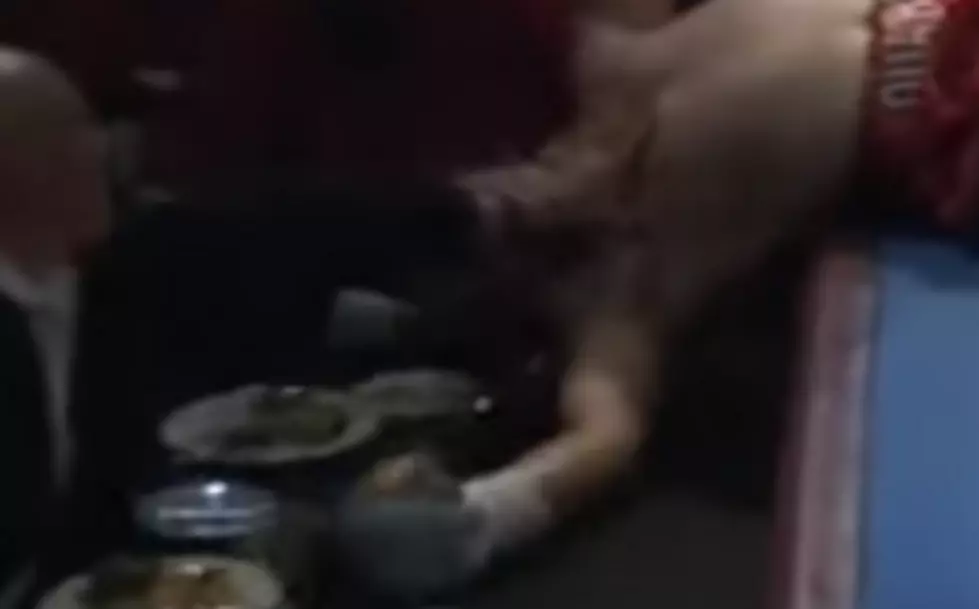 Boxer Gets Knocked Out and Lands On Someone&#8217;s Dinner Plate [VIDEO]