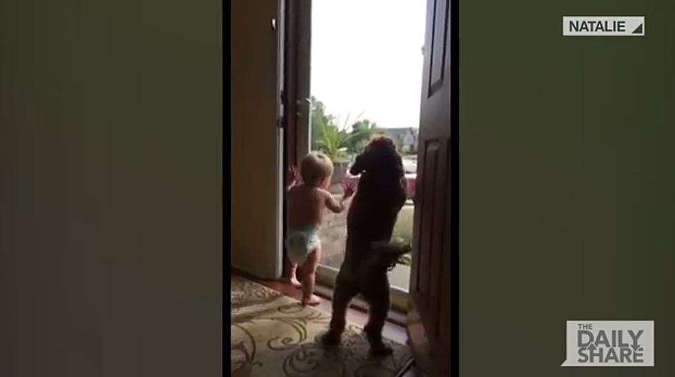 Baby and Dog Give Daddy a Warm Welcome Home [VIDEO]
