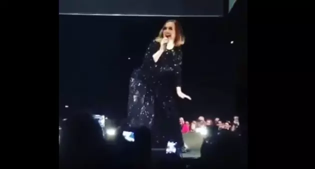Adele Twerks For Lucky Fans During London Concert (VIDEO)