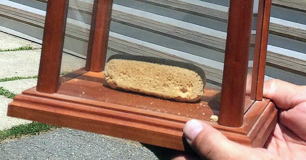 What Does a Preserved 40-Year-Old Twinkie Look Like?