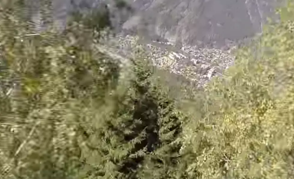 Guy Crashes Into Tree In A Wingsuit, Somehow Survives [VIDEO]