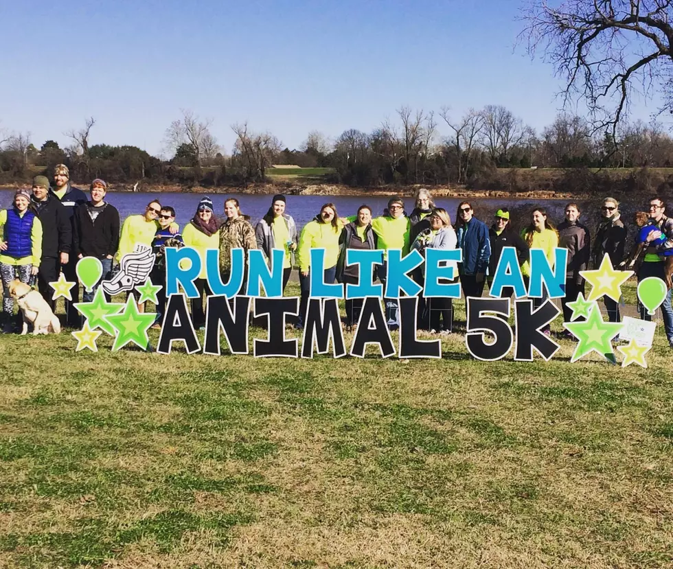 University Veterinary Hospital’s Run Like An Animal 5K Broke Expectations With 450 Runners