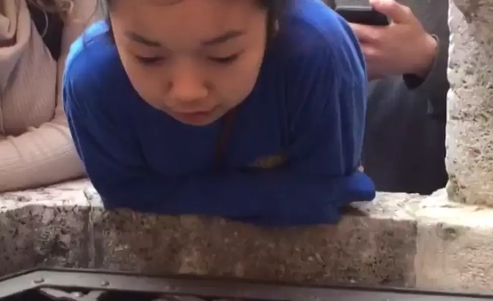 Girl Beautifully Sings &#8220;Hallelujah&#8221; Into a Well [VIDEO]