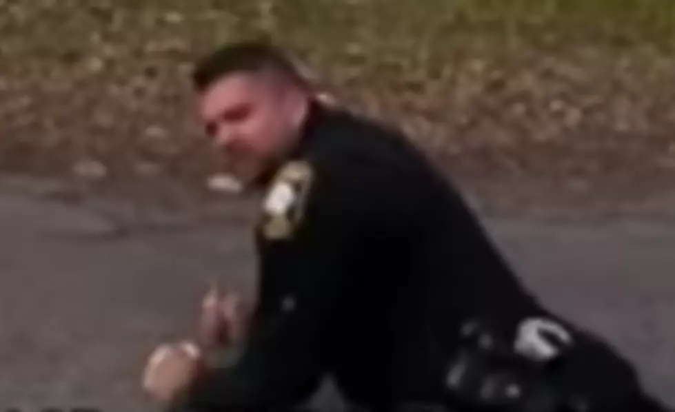 Cop Accidentally Shoots Partner With Stun-Gun [VIDEO]