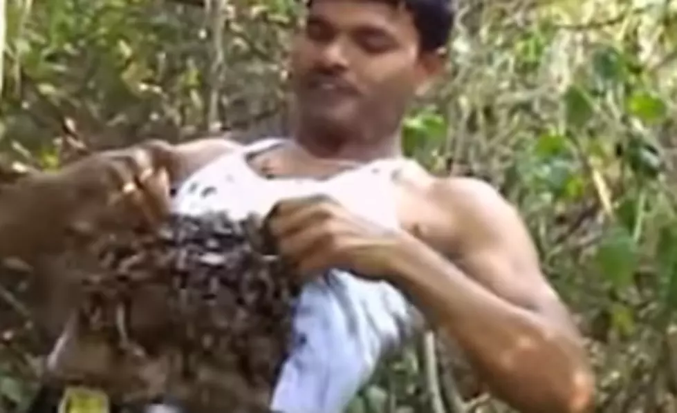Dude in India Fills Shirt With Thousands of Bees [VIDEO]